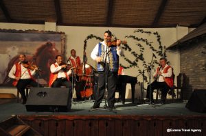 Folk Music Show in a Budapest Inn